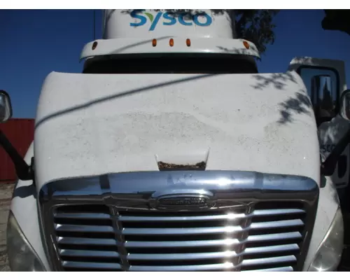 FREIGHTLINER CASCADIA 113 2008-2020 HOOD