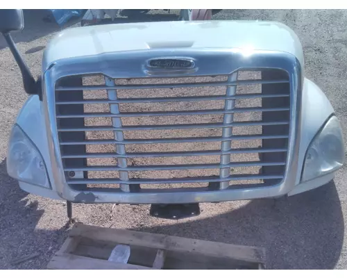 FREIGHTLINER CASCADIA 113 2008-2020 HOOD