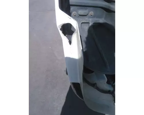 FREIGHTLINER CASCADIA 113 2008-2020 HOOD