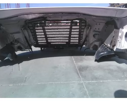 FREIGHTLINER CASCADIA 113 2008-2020 HOOD