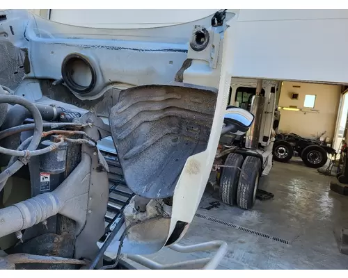 FREIGHTLINER CASCADIA 113 2008-2020 HOOD