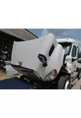 FREIGHTLINER CASCADIA 113 2008-2020 HOOD