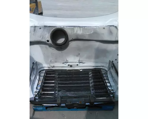 FREIGHTLINER CASCADIA 113 2008-2020 HOOD