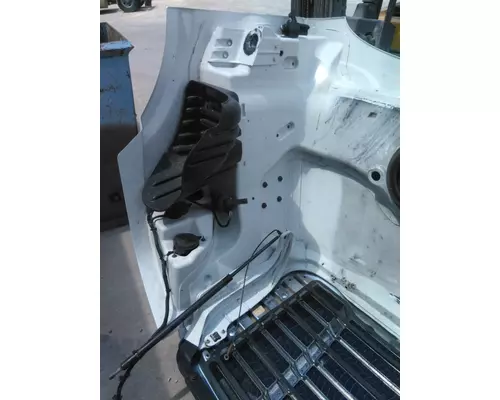 FREIGHTLINER CASCADIA 113 2008-2020 HOOD