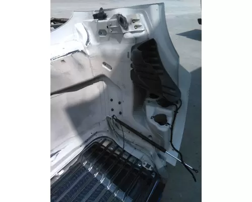FREIGHTLINER CASCADIA 113 2008-2020 HOOD