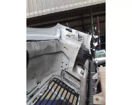 FREIGHTLINER CASCADIA 113 2008-2020 HOOD