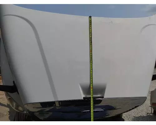 FREIGHTLINER CASCADIA 113 2008-2020 HOOD