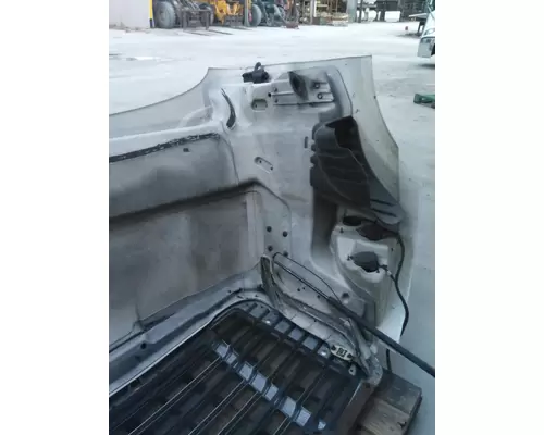 FREIGHTLINER CASCADIA 113 2008-2020 HOOD
