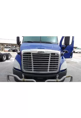 FREIGHTLINER CASCADIA 113 2008-2020 HOOD