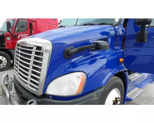 FREIGHTLINER CASCADIA 113 2008-2020 HOOD