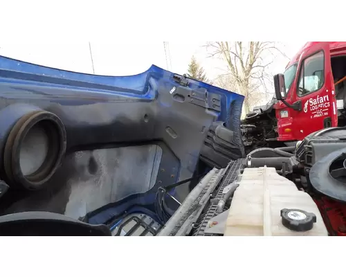 FREIGHTLINER CASCADIA 113 2008-2020 HOOD