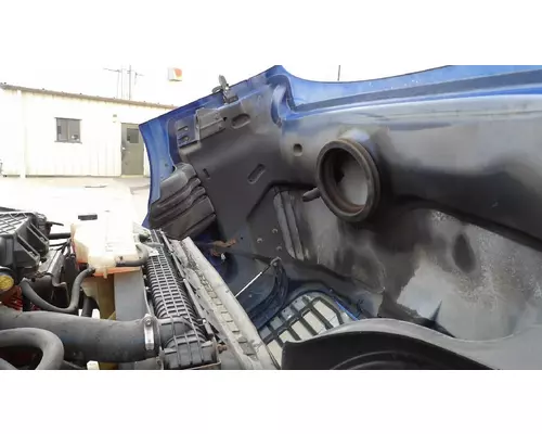 FREIGHTLINER CASCADIA 113 2008-2020 HOOD