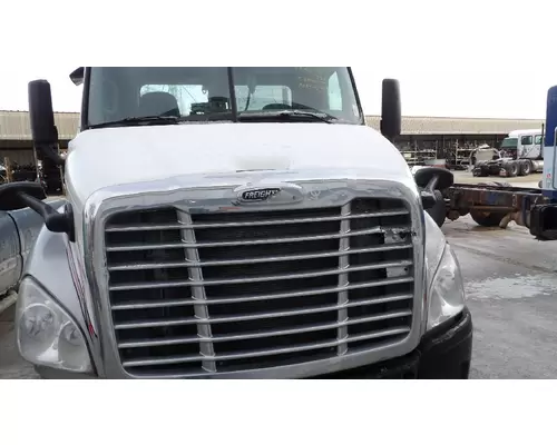 FREIGHTLINER CASCADIA 113 2008-2020 HOOD