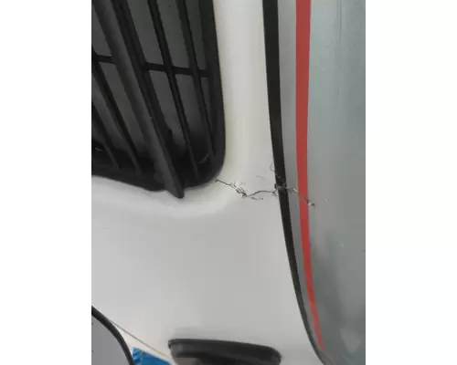 FREIGHTLINER CASCADIA 113 2008-2020 HOOD