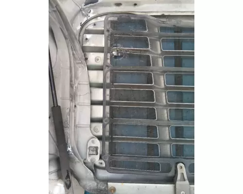 FREIGHTLINER CASCADIA 113 2008-2020 HOOD