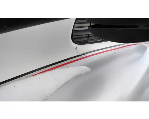 FREIGHTLINER CASCADIA 113 2008-2020 HOOD