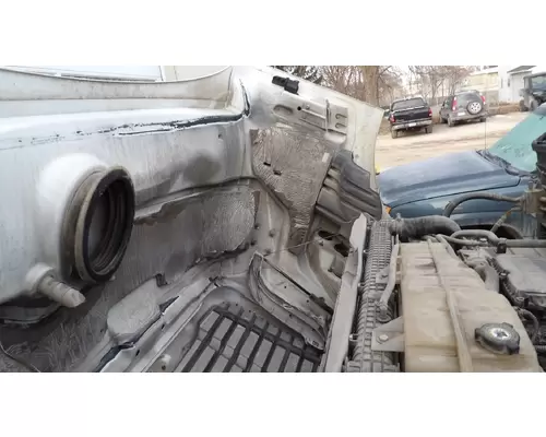 FREIGHTLINER CASCADIA 113 2008-2020 HOOD