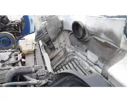 FREIGHTLINER CASCADIA 113 2008-2020 HOOD