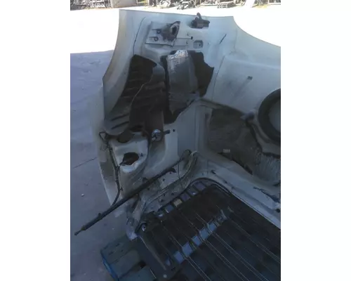 FREIGHTLINER CASCADIA 113 2008-2020 HOOD
