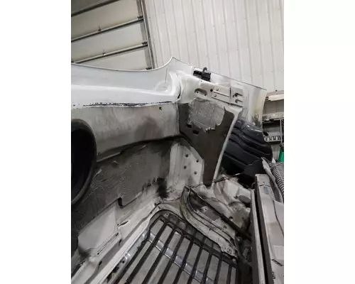 FREIGHTLINER CASCADIA 113 2008-2020 HOOD