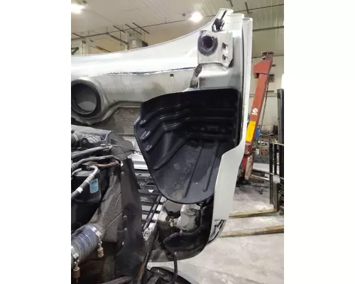 FREIGHTLINER CASCADIA 113 2008-2020 HOOD