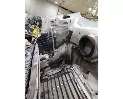 FREIGHTLINER CASCADIA 113 2008-2020 HOOD