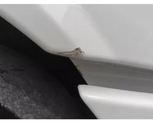 FREIGHTLINER CASCADIA 113 2008-2020 HOOD