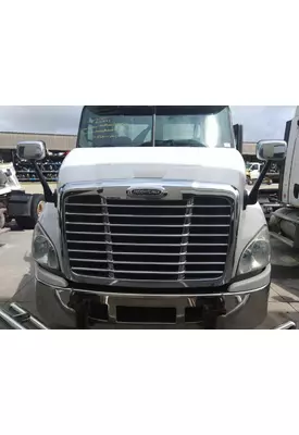 FREIGHTLINER CASCADIA 113 2008-2020 HOOD