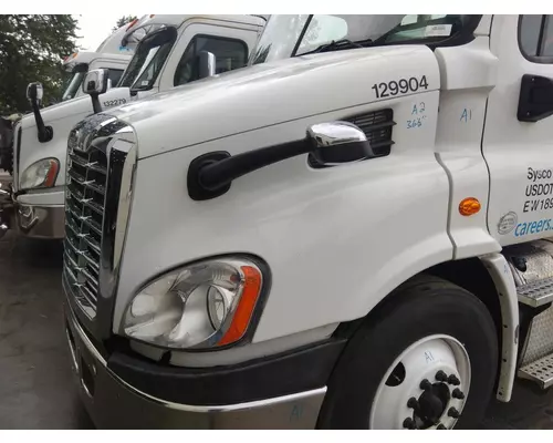 FREIGHTLINER CASCADIA 113 2008-2020 HOOD