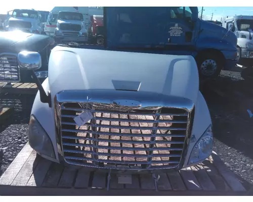 FREIGHTLINER CASCADIA 113 2008-2020 HOOD