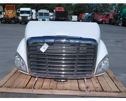 FREIGHTLINER CASCADIA 113 2008-2020 HOOD