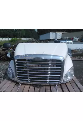 FREIGHTLINER CASCADIA 113 2008-2020 HOOD