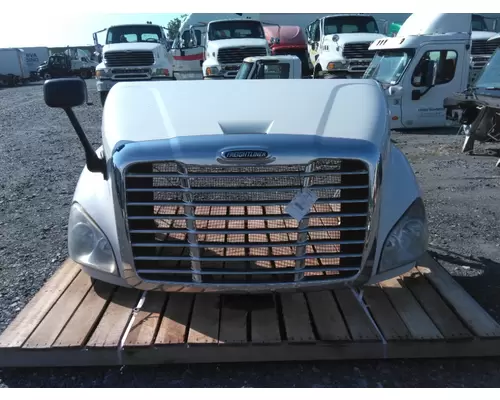 FREIGHTLINER CASCADIA 113 2008-2020 HOOD