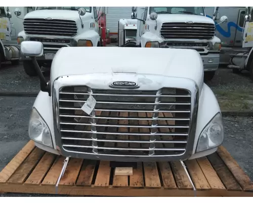 FREIGHTLINER CASCADIA 113 2008-2020 HOOD