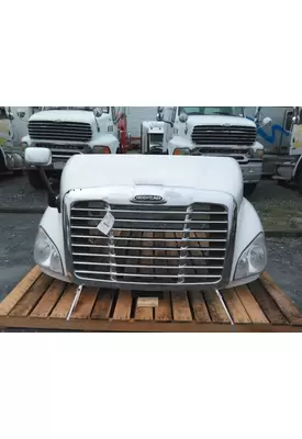 FREIGHTLINER CASCADIA 113 2008-2020 HOOD