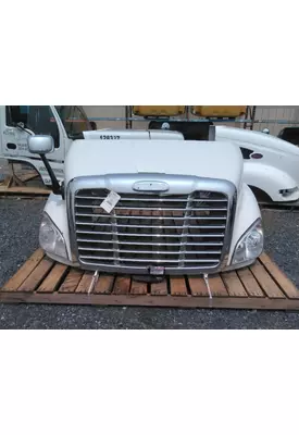 FREIGHTLINER CASCADIA 113 2008-2020 HOOD