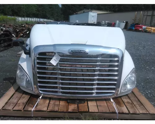 FREIGHTLINER CASCADIA 113 2008-2020 HOOD