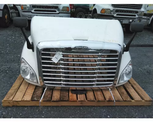 FREIGHTLINER CASCADIA 113 2008-2020 HOOD