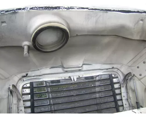 FREIGHTLINER CASCADIA 113 2008-2020 HOOD