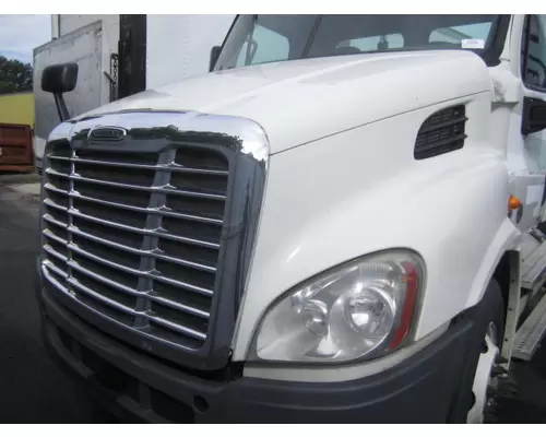 FREIGHTLINER CASCADIA 113 2008-2020 HOOD