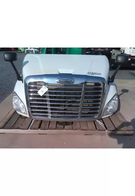 FREIGHTLINER CASCADIA 113 2008-2020 HOOD