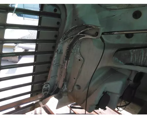 FREIGHTLINER CASCADIA 113 2008-2020 HOOD