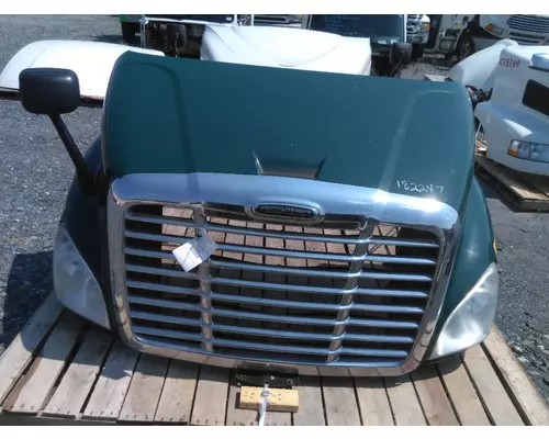 FREIGHTLINER CASCADIA 113 2008-2020 HOOD