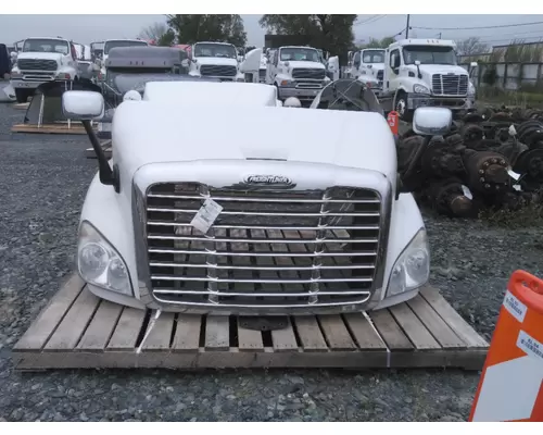 FREIGHTLINER CASCADIA 113 2008-2020 HOOD