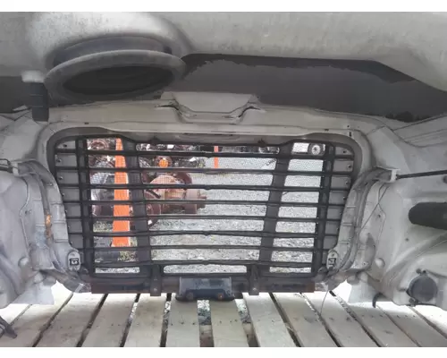 FREIGHTLINER CASCADIA 113 2008-2020 HOOD