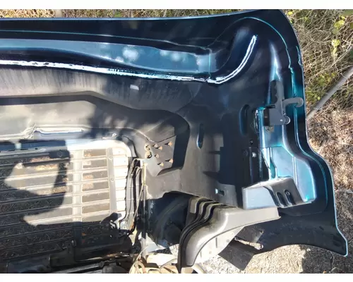 FREIGHTLINER CASCADIA 113 2008-2020 HOOD