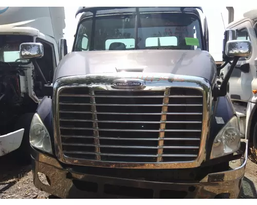 FREIGHTLINER CASCADIA 113 2008-2020 HOOD