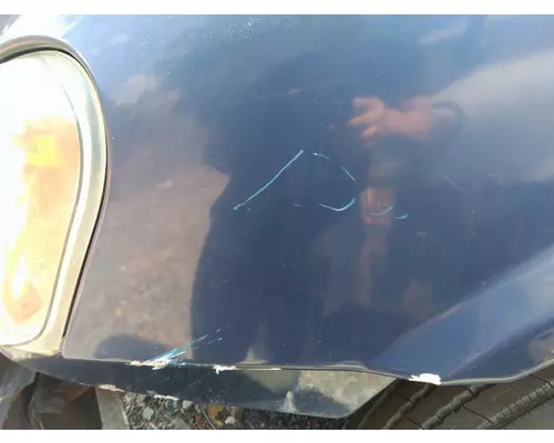 FREIGHTLINER CASCADIA 113 2008-2020 HOOD