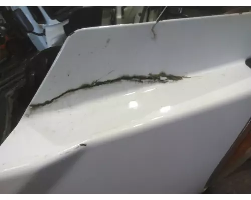 FREIGHTLINER CASCADIA 113 2008-2020 HOOD