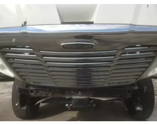 FREIGHTLINER CASCADIA 113 2008-2020 HOOD